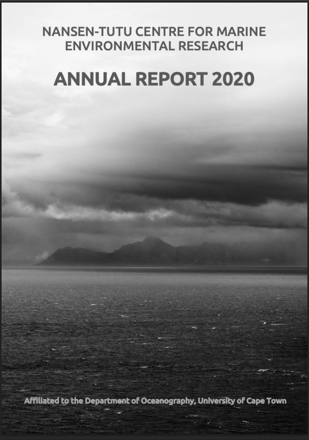 annual-report-2020